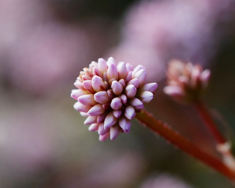 Bild von Knoeterich