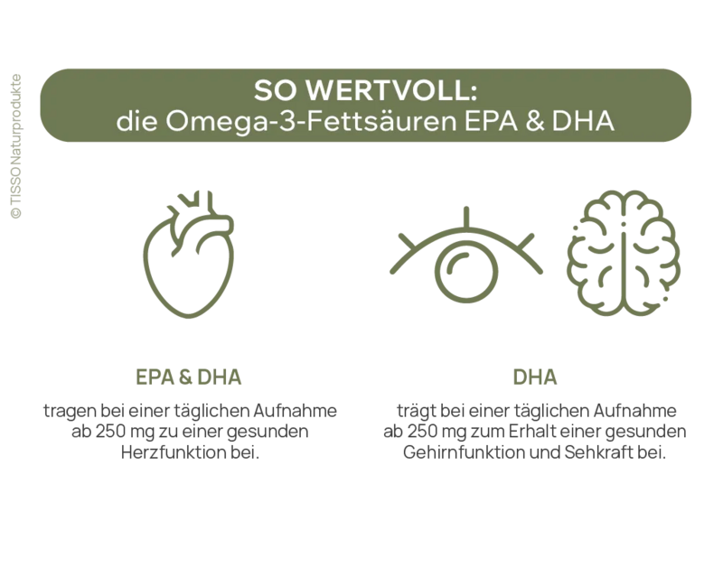 Schaubild der Funktionen von DHA und EPA