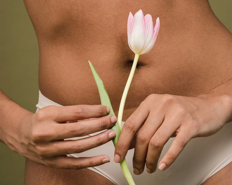 Bild einer Hand, die eine Blume hält