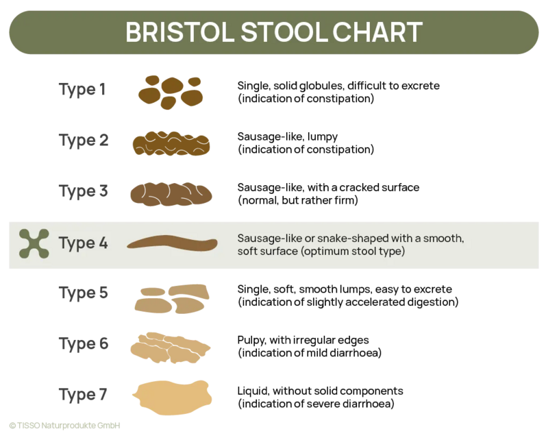 Smooth Stool Tips for good digestion | TISSO Natural Products
