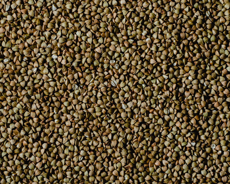 Bild von Buchweizen