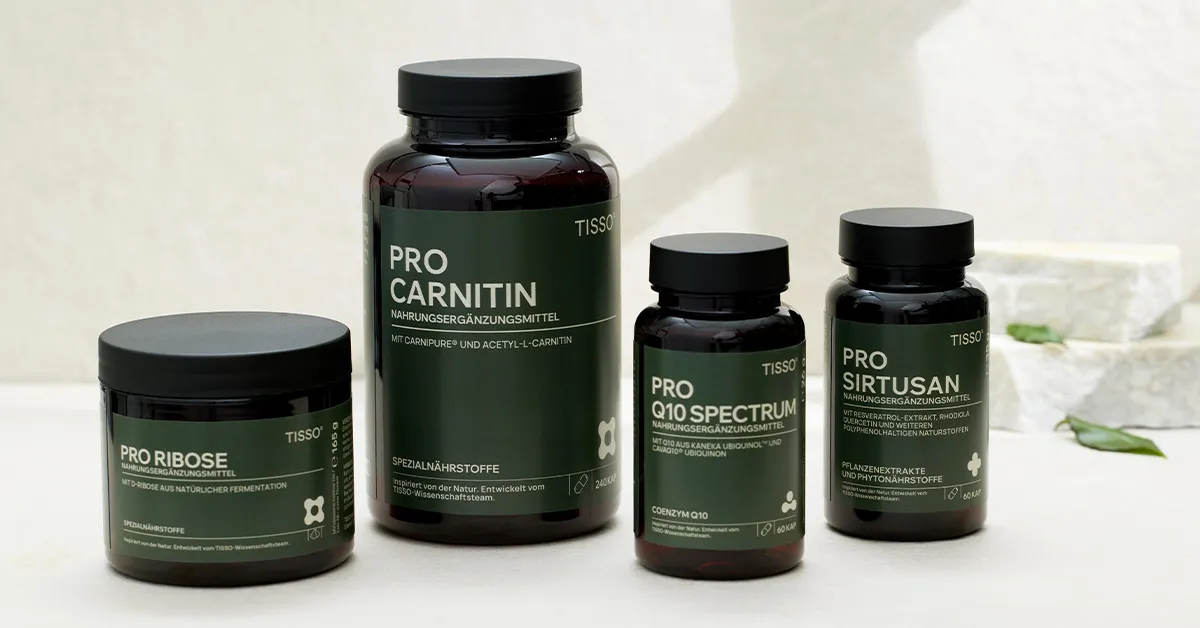 l carnitin mitochondrien Valproinsure-induziertes Carnitin-Defizit - 01 - 2012 - Heftarchiv The addition of CaloriBurn (Aframomum melegueta seed extract) provides a natural source of 6 Sanct Bernhard Sport L-Carnitin-Kapseln 180